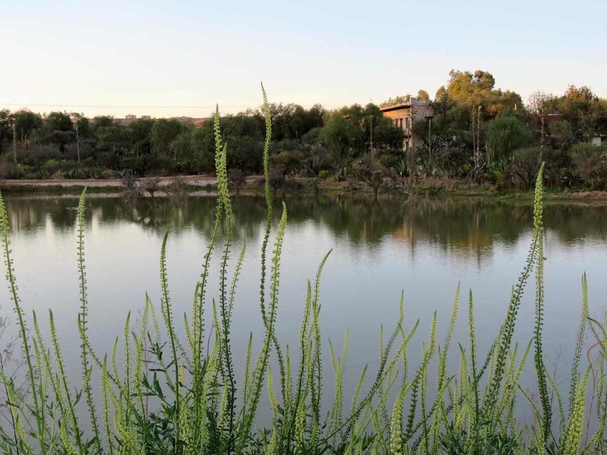 Hacienda Tovares Кадерейта-де-Монтес Экстерьер фото